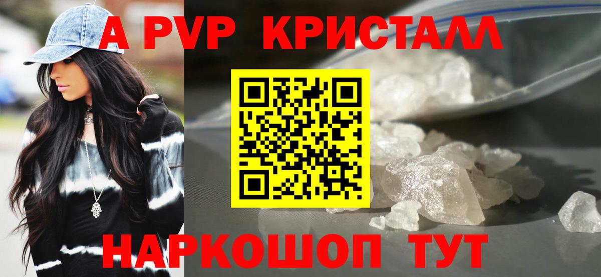A-PVP  А ПВП крисы CK  Курчалой  Вход с VPN  APVP СК КРИС 