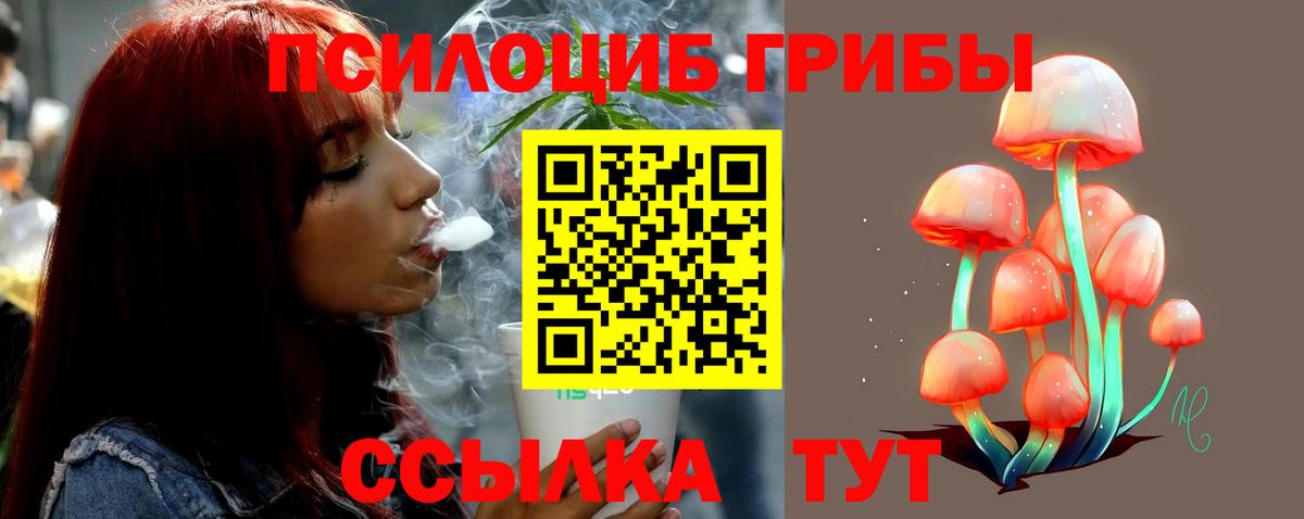 Псилоцибиновые грибы GOLDEN TEACHER Курчалой